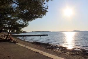 Family-friendly apartments with swimming pool Valbandon, Fazana - 2201 