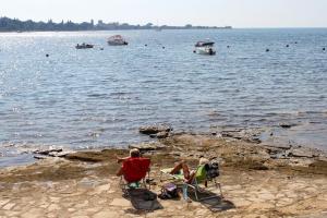 Apartments with a parking space Karigador, Novigrad - 2534