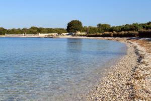 Family friendly house with a swimming pool Peroj, Fazana - 16660 