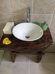 Bougainvillas Seychelles