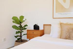 Beautiful Tropical-Boho 3BR Villa, Berawa Canggu, Bali