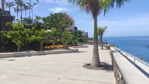 Agréable appartement au bord de l’ ocean, Playa Paraiso