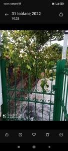 Vineyard of Valta