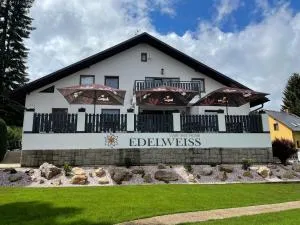 Wellness Hotel Edelweiss - Světlá pod Ještědem