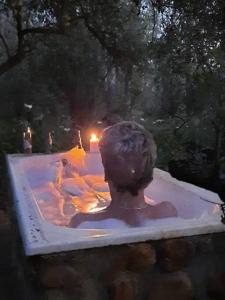 The Little Farmhouse