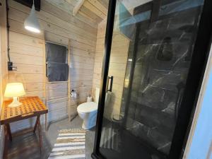 Szarejkowy GLAMP