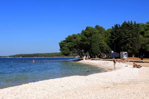 Family friendly apartments with a swimming pool Fazana - 19595