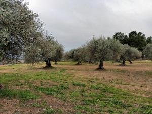 Quinta Lameira do Vale