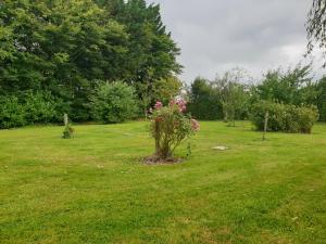 Maisons de vacances Charmante maison dans un parc de pres de 3ha : photos des chambres