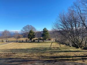 Les Genêts du Sancy