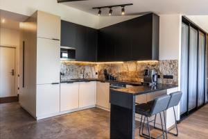 Luxury Apartment Kavkaz View