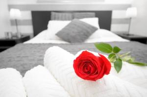 Opera Experience Apartment