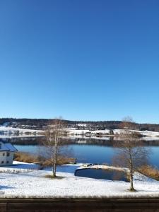 CHALET-MICHEL avec SPA