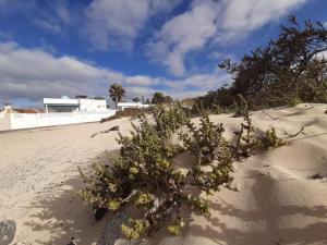 COZY, Beach House , by MAHBOVILLAS