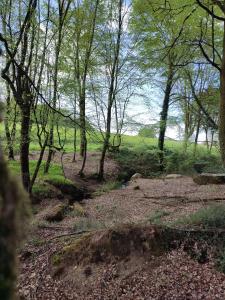 Lodges Le Domaine des Roches' L : photos des chambres
