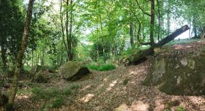 Lodges Le Domaine des Roches' L : photos des chambres