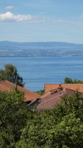 B&B / Chambres d'hotes Au coucher du lac : photos des chambres