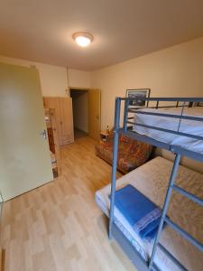 Appartements Family apartment on the skiing slope : photos des chambres