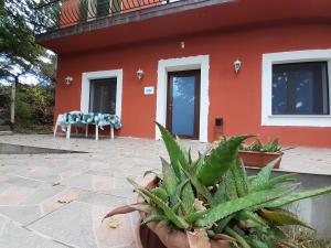 B&B Kikina
