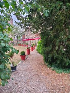 B&B / Chambres d'hotes Demeure en Seine - Gites et chambres d'hote en bord de Seine : photos des chambres