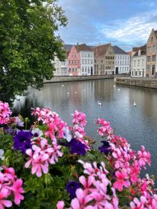 Sint-Annarei 26, 8000 Bruges, Belgium.