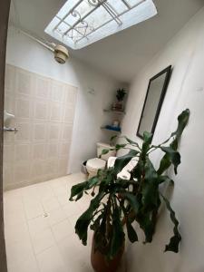 Hostal Casa Las Tías