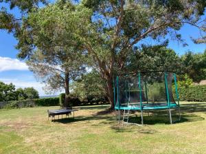 Maisons de vacances Gites le Mathelin : photos des chambres