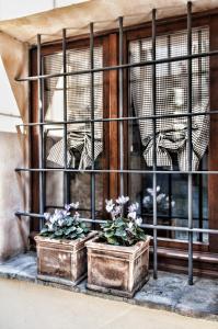 Appartamenti San Francesco