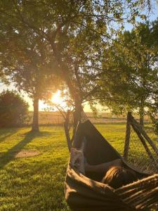 Maisons de vacances Maison conviviale au coeur de la campagne : photos des chambres