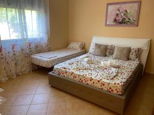 SalisHouse