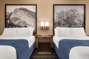 Queen Room with Two Queen Beds - Non-Smoking room in Super 8 by Wyndham Lindsay Olive Tree