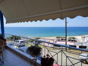 Blue Dolphins Apartment