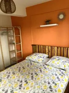 L'oranger paisible- T2 Bas de villa - Lamotte