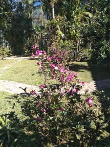 Armazém do Porto, Chalé Azaléia