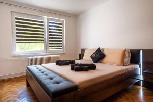 Great Large Apartment near Center