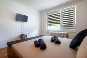 Excellent Large Lux Apartment Central Martin