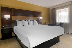 King Suite - Non Smoking room in Best Western Inn Of Palatka