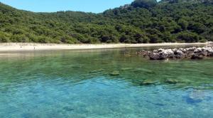 Apartments by the sea Cove Blaca, Mljet - 4899