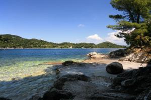 Apartments by the sea Sobra, Mljet - 4908