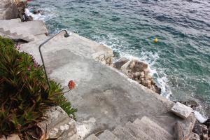 Apartments by the sea Sobra, Mljet - 4889 