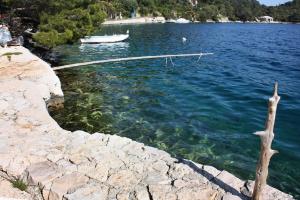 Apartments by the sea Babine Kuce, Mljet - 611