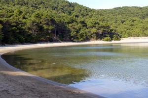 Seaside secluded apartments Cove Blaca, Mljet - 615