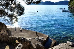 Apartments by the sea Ubli, Lastovo - 8355