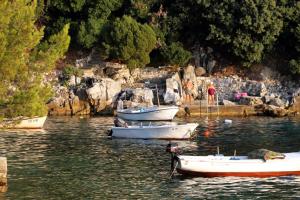 Apartments by the sea Ubli, Lastovo - 8355