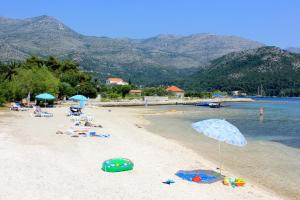 Apartments by the sea Slano, Dubrovnik - 8608