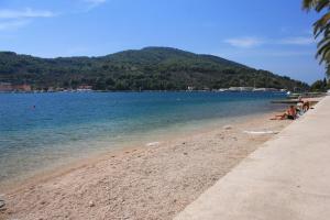 Apartments by the sea Vela Luka, Korcula - 9244