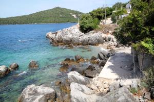 Apartments by the sea Molunat, Dubrovnik - 8956