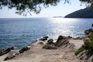 Apartments by the sea Brna, Korcula - 9149
