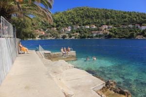 Family friendly apartments with a swimming pool Smokvica, Korcula - 9161
