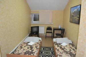 Standard Twin Room room in Guest House Litvich